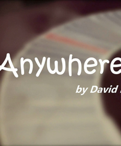 Anywhere by David Luu video DOWNLOAD
