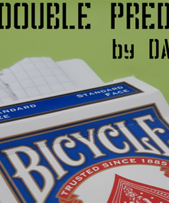 Double Prediction by Dan Tudor video DOWNLOAD
