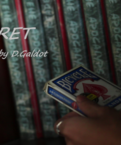 Secret by D.Galdot video DOWNLOAD