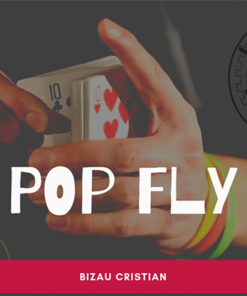 The Vault - Pop Fly by Bizau Cristian video DOWNLOAD