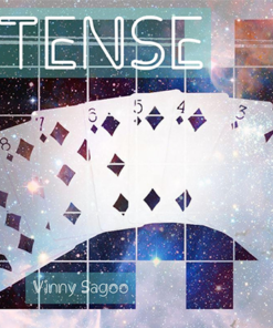 Intense by Vinny Sagoo video DOWNLOAD