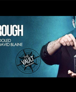 The Vault - Breakthrough by Johannes Mengel video DOWNLOAD
