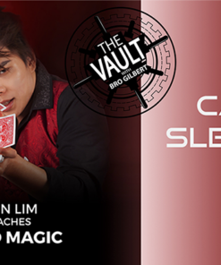 The Vault - Card Sleights by Shin Lim video DOWNLOAD
