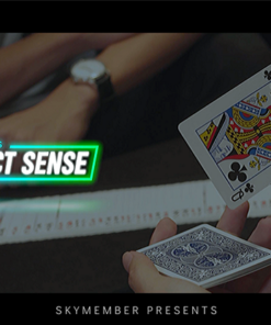 The Vault - Skymember Presents Perfect Sense by Daniel Hiew video DOWNLOAD