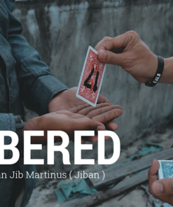 Numbered by Parlin Lay video DOWNLOAD