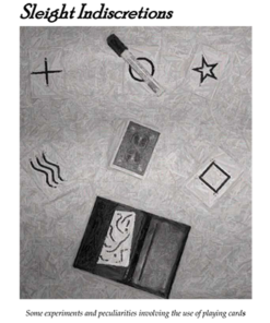 Sleight Indiscretions by Brian Lewis eBook DOWNLOAD