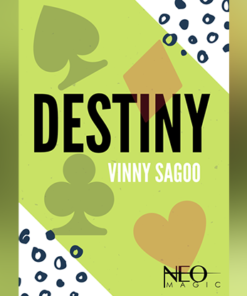 Destiny by Vinny Sagoo eBook DOWNLOAD