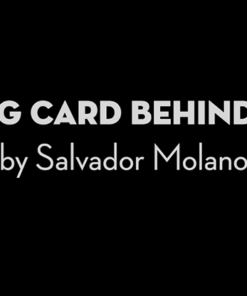 Playing Card Behind Glass by Salvador Molano video DOWNLOAD