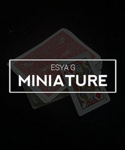 Miniature by Esya G video DOWNLOAD