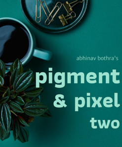 Pigment & Pixel 2.0  by Abhinav Bothra ebook DOWNLOAD