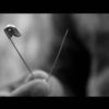 The Pin by Arnel Renegado video DOWNLOAD