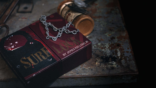 Sure Lock by James Kellogg Jr. Trick Regular Price $549