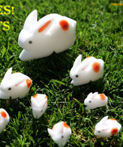 The Bunnies! 3D Rabbits (Parents, Kids & Grandpa)